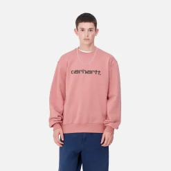 Sweats>Carhartt WIP Carhartt Sweatshirt Dusty Rose / Sycamore Tree